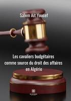 Cavaliers budgétaires comme source du droit des affaires en Algérie, Essai