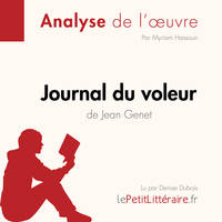Journal du voleur de Jean Genet (Analyse de l'œuvre), Analyse complète et résumé détaillé de l'oeuvre
