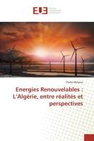 Energies Renouvelables : L'Algérie, entre réalités et perspectives