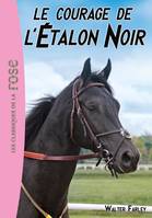 13, L'Étalon Noir 13 - Le courage de l'Etalon Noir