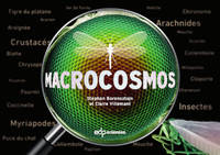 Macrocosmos