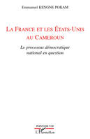 La France et les Etats-Unis au Cameroun, Le processus démocratique national en question