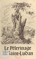 Le pèlerinage de Saint-Ludan, Album avec 13 dessins et 37 gravures