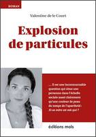 Explosion de particules, Un premier roman plein d'humour