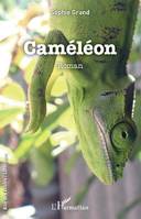 Caméléon, Roman