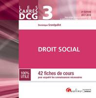 3, DCG 3 - DROIT SOCIAL 8EME EDITION - 42 FICHES DE COURS POUR ACQUERIR LES CONNAISSANCES NECESSAIRES, 42 FICHES DE COURS POUR ACQUERIR LES CONNAISSANCES NECESSAIRES