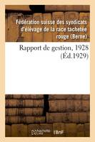 Rapport de gestion, 1928