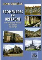 Promenades en Bretagne, Étude historique et artistique des hauts-lieux de la bretagne