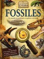Fossiles, un monde extraordinaire à explorer à la loupe