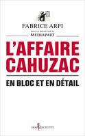 L'Affaire Cahuzac, En bloc et en détail