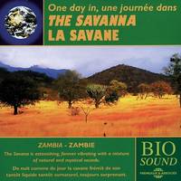 UNE JOURNEE DANS LA SAVANE (PIERRE HUGUET)