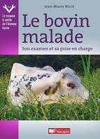 Le bovin malade, Son examen et sa prise en charge