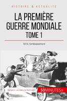 La Première Guerre mondiale (Tome 1), 1914, l'embrasement