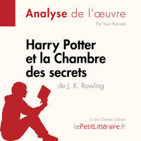 Harry Potter et la Chambre des secrets de J. K. Rowling (Fiche de lecture), Analyse complète et résumé détaillé de l'oeuvre