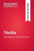 Niebla de Miguel de Unamuno (Guía de lectura), Resumen y análisis completo