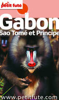 GABON / SAO TOME ET PRINCIPE 2016 Petit Futé