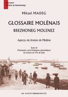 Glossaire molénais, Aperçu du breton de molène