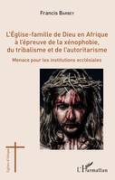 L'Église-famille de Dieu en Afrique à l'épreuve de la xénophobie, du tribalisme et de l'autoritarisme, Menace pour les institutions ecclésiales