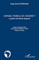 L'Afrique, poubelle de l'Occident ?, La gestion des déchets dangereux