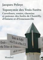 Toponymie des trois forêts, Carrefours, routes, chemins et poteaux des forêts de chantilly, d'halatte et d'ermenonville