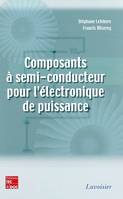 Composants à semi-conducteur pour l'électronique de puissance