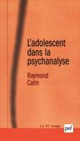 L' adolescent dans la psychanalyse