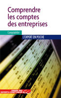 COMPRENDRE LES COMPTES DES ENTREPRISES (2ED) 2013