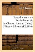 Eaux thermales de Sail-les-bains, dit lès-Château-Morand Loire. Silices et Silicates. Études
