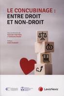 le concubinage entre droit et non droit, Entre droit et non-droit