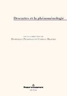 Descartes et la phénoménologie
