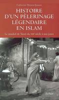 Histoire d'un pèlerinage légendaire en Islam, Le mouled de Tantâ du XIIIe siècle à nos jours