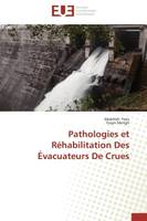 Pathologies et Réhabilitation Des Évacuateurs De Crues