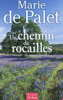 CHEMIN DE ROCAILLES (UN)