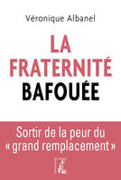 La fraternité bafouée, Sortir de la peur du grand remplacement