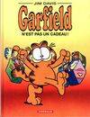 Garfield., 17, Garfield - Tome 17 - Garfield n'est pas un cadeau