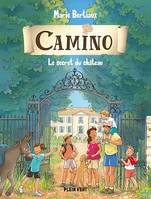 Le secret du château, Camino volume 3