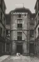 L'adolescence, Gris I