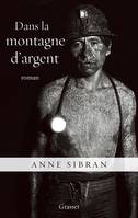 Dans la montagne d'argent, roman