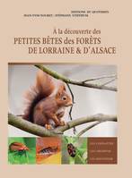 À la découverte des petites bêtes des forêts de Lorraine & d'Alsace