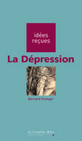 DEPRESSION (LA) -PDF, idées reçues sur la dépression