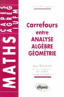 Carrefours entre analyse, algèbre et géométrie