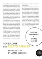 Sociologie des Gilets jaunes, Reproduction et luttes sociales