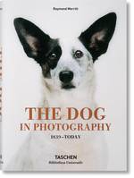 The Dog in Photography 1839-Today (GB/ALL/FR), BU