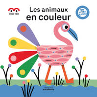 Viens voir, Les animaux en couleur