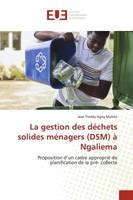 La gestion des déchets solides ménagers (DSM) à Ngaliema, Proposition d'un cadre approprié de planification de la pré- collecte