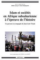 Islam et sociétés en Afrique subsaharienne à l'épreuve de l'histoire - un parcours en compagnie de Jean-Louis Triaud