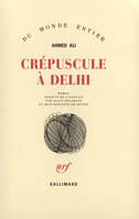 Crépuscule à Delhi, roman
