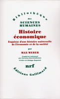 Histoire économique, Esquisse d'une histoire universelle de l'économie et de la société