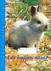 Les lapins nains