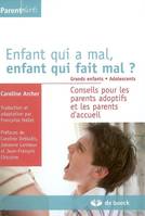 Enfant qui a mal, enfant qui fait mal ? Tome 2 : grands enfants, adolescents, Conseils pour les parents adoptifs et les parents d'accueil